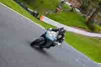 Middle Group Silver_Grey Bikes